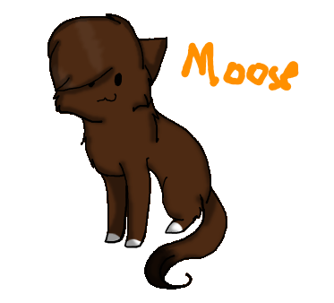 Moose