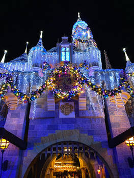 Sleeping Beauty Castle with Christmas and 70th