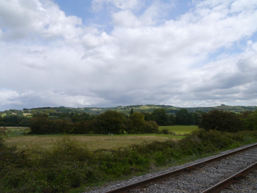 Track Side View