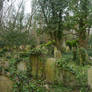 Graves of Ivy