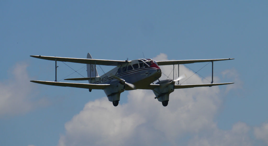 Dragon Rapide in Flight 5