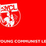 YCL Flag Concept 1