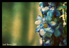 Blue Feeling