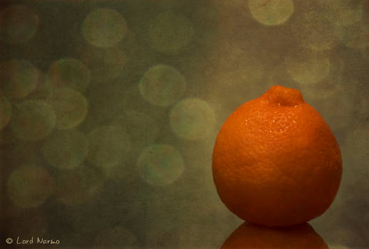 My Orange Portrait