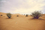Desert by uae4u