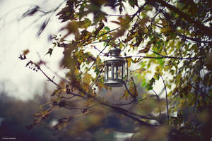 Lantern