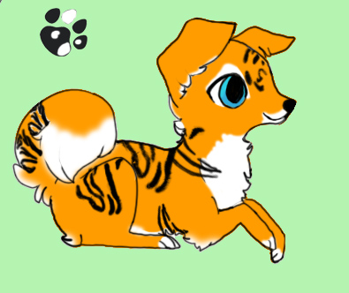 Tiger puppy adopt OPEN