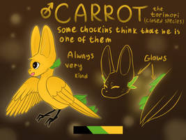 Carrot the torimori reference