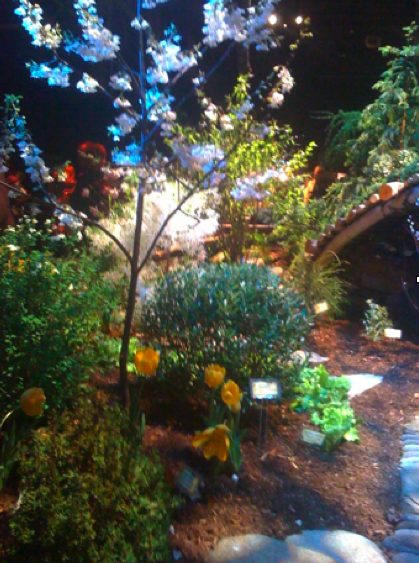 Flowershow three