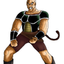 Nappa Universe 3