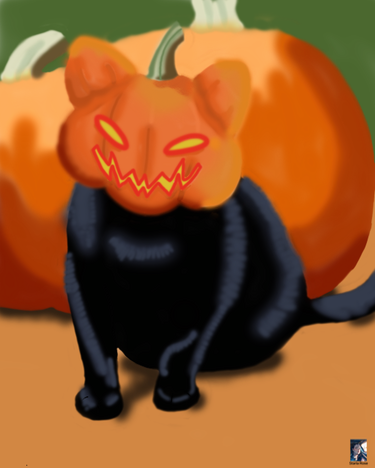 Pumpkin cat