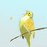 Yellowhammer