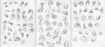 Hand Study by Lehosh