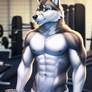 Wolf gym