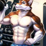 Wolf gym 6