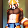 Red panda male