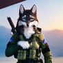 Tactical wolf 3