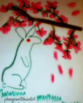 Rabbit With Sakura Blossoms