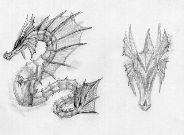 Sea Dragon Sketch by Nimue-Amethyst on DeviantArt