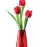 Tulips In a Vase (Pen tool practice)