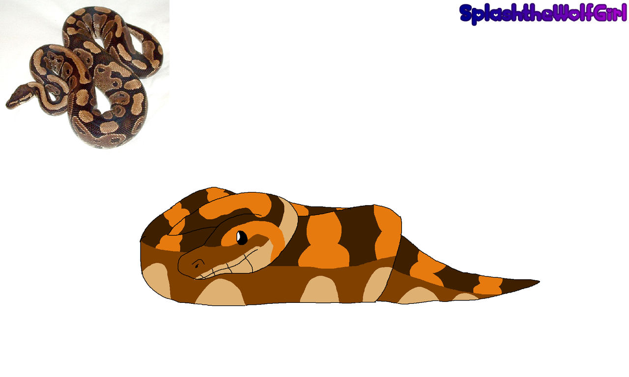 Ball Python by SplashtheWolfGirl on DeviantArt