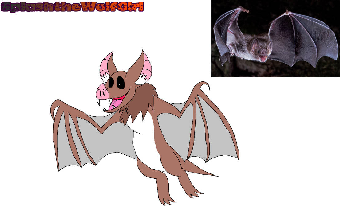 Common Vampire Bat by SplashtheWolfGirl on DeviantArt