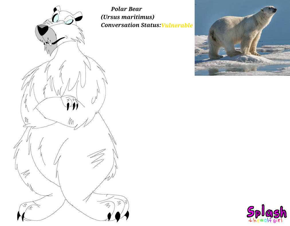 Polar Bear (revamp) by SplashtheWolfGirl on DeviantArt