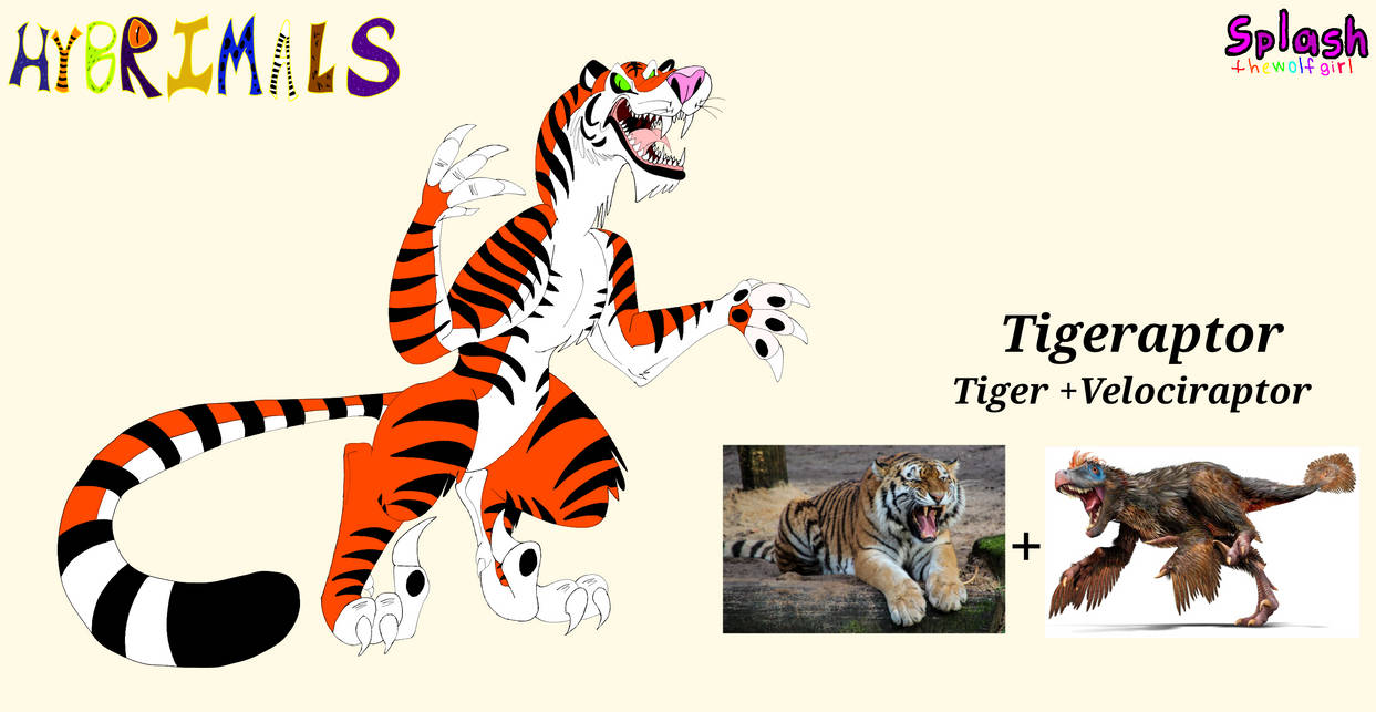 Tiger Rapter Tigeraptor (Updated) by SplashtheWolfGirl on DeviantArt