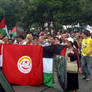 Viva Chavez, Viva palestina