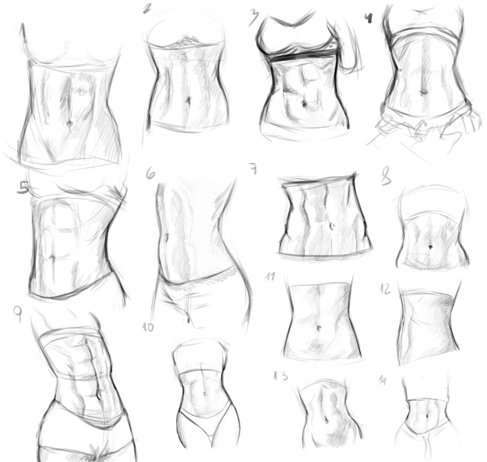 Female abs sketches by Cantru on DeviantArt