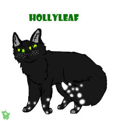 Hollyleaf