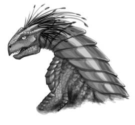 Dragon sketch