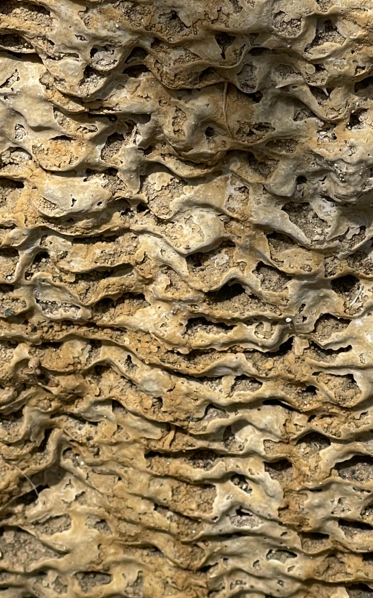 Limescale