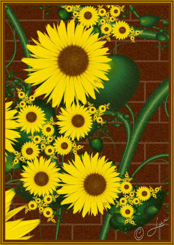 Sunflowers