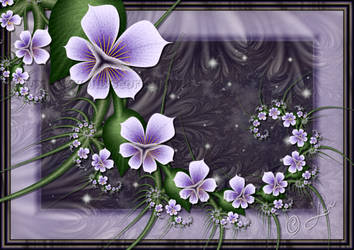 Violets... by LaxmiJayaraj