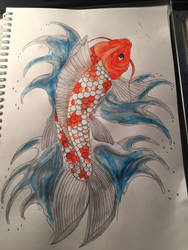 Koi Fish 2.0