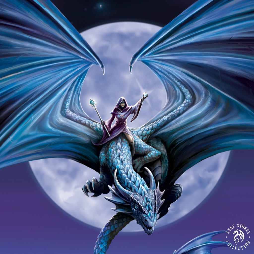 Riding a Dragon by ValkyrieEir on DeviantArt