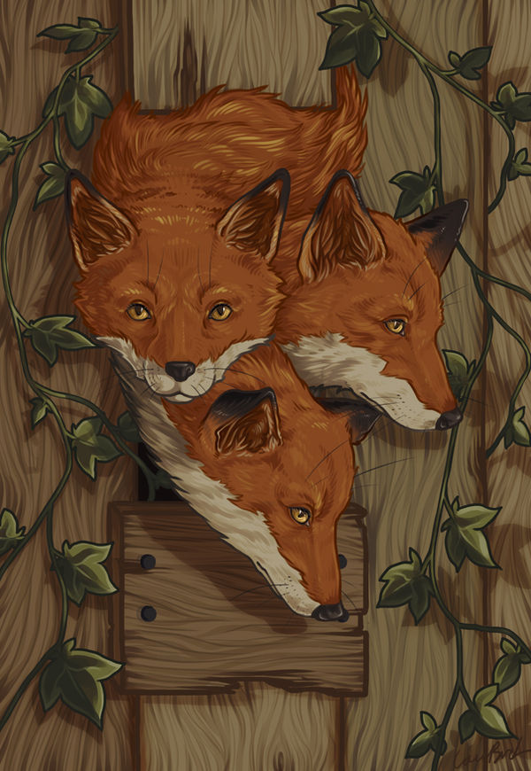 Deviantart Foxes Foxes Photostudy by Ghorvega on DeviantArt