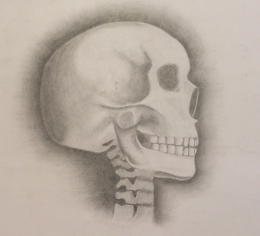 Skull Pencil Drawing