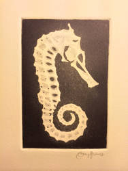 Seahorse Print