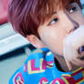 Hobi