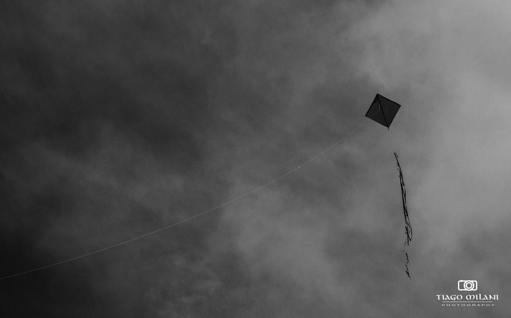 The kite by Tmilani The kite by Tmilani