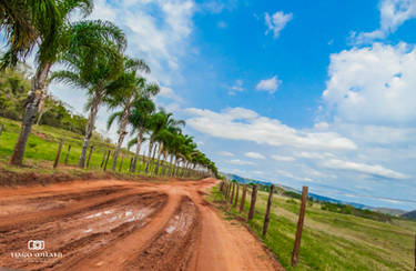 Dirt road