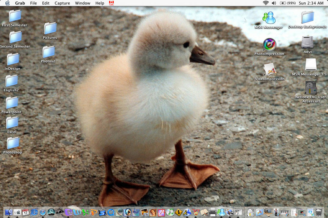 current desktop background by princessmeow on DeviantArt