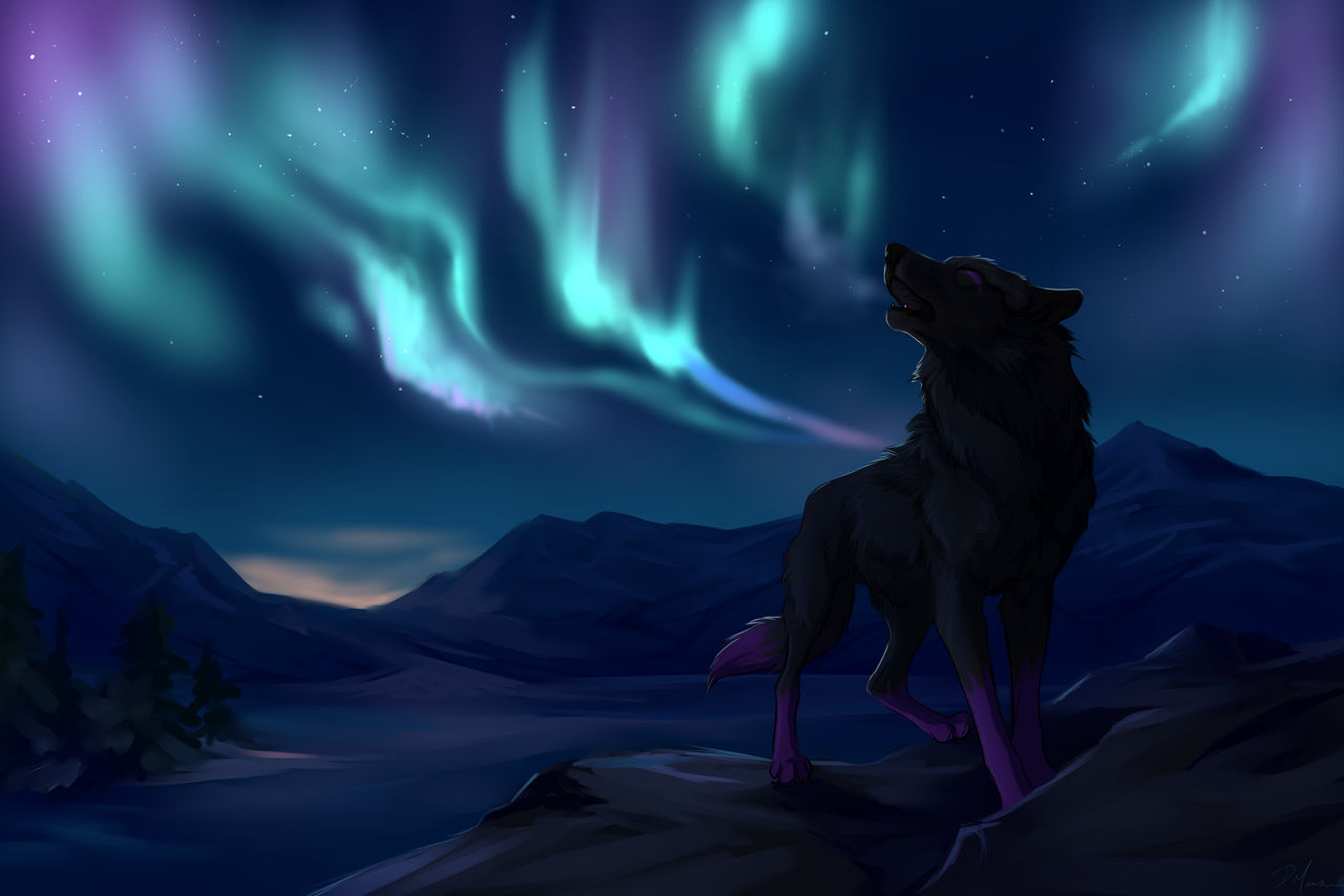 Northern Lights by Innali