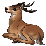 Deer by Innali