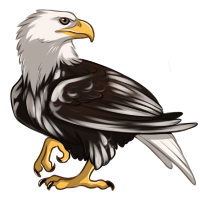 Piebald Eagle