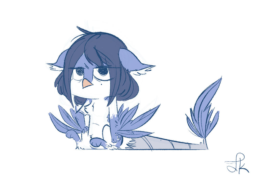 Birddi Sketch
