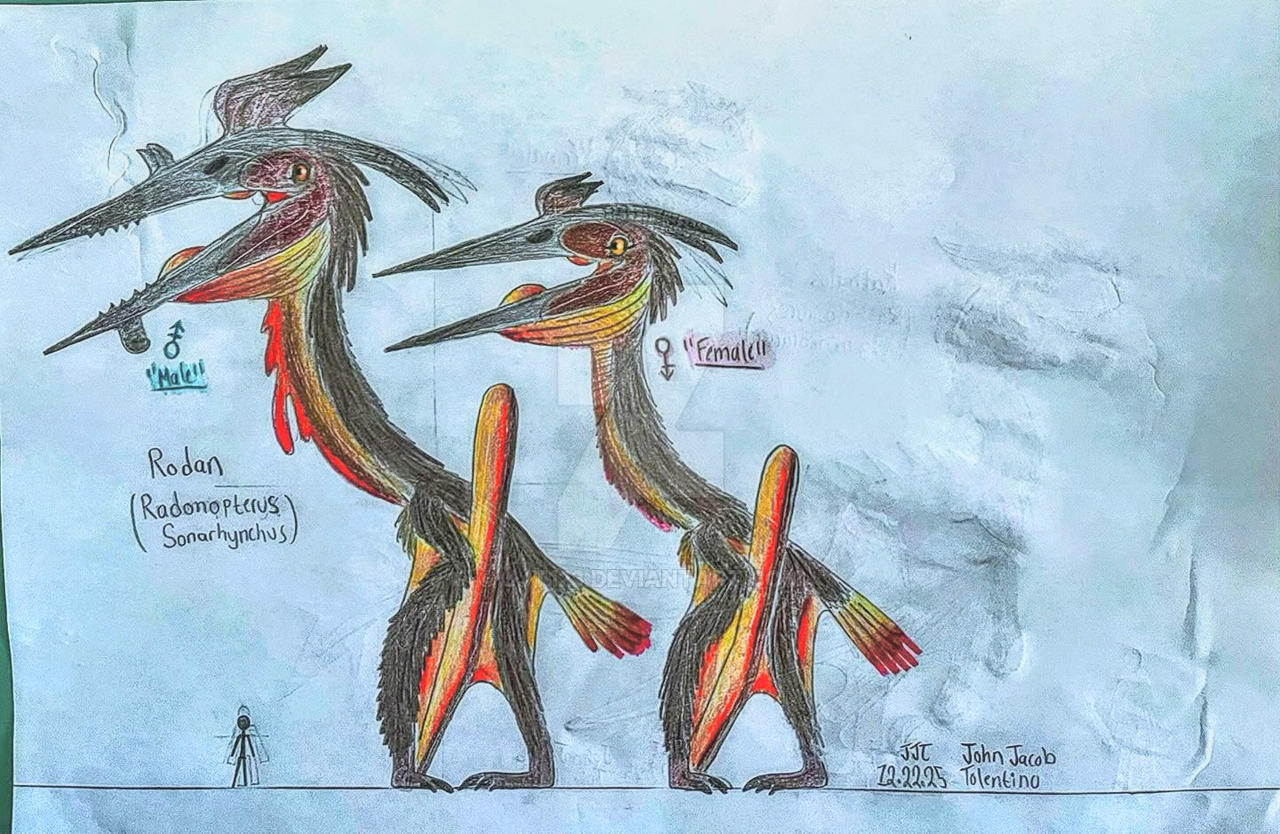 Rodan by JJT123 on DeviantArt