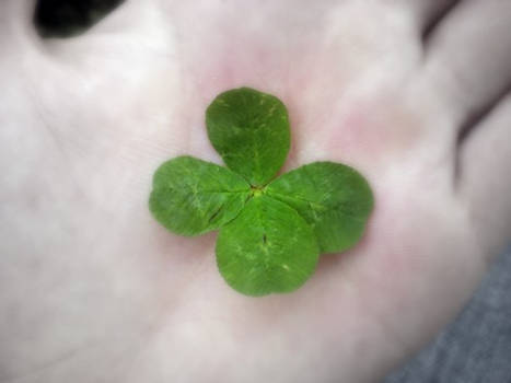 I Killed a Clover Today